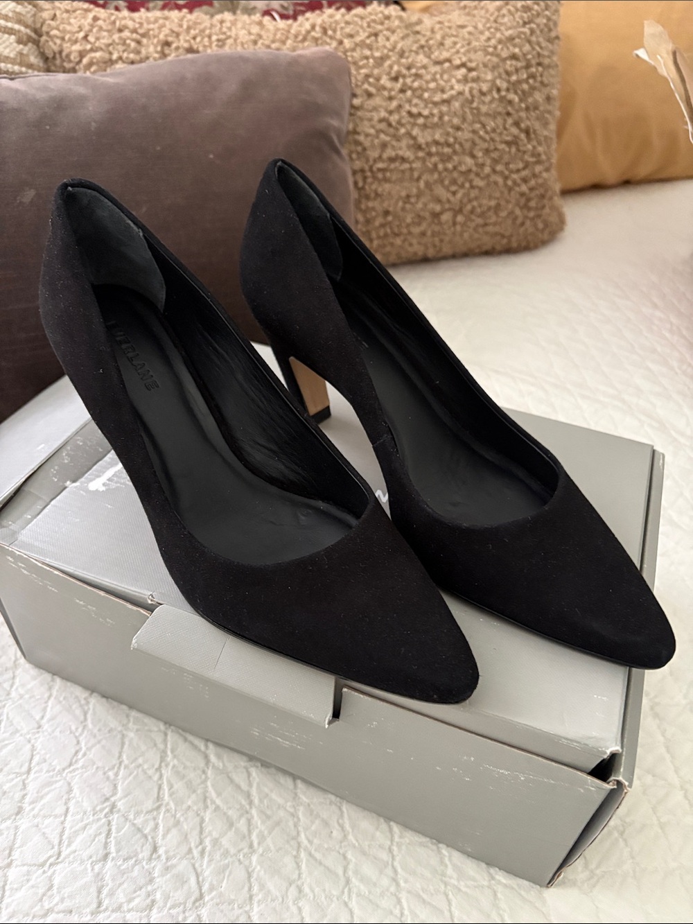 Everlane Black Pointed-Toe Women's Pumps